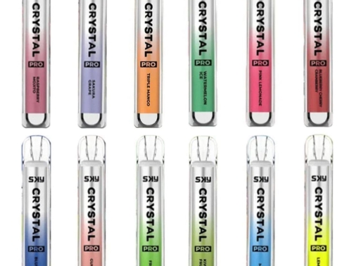 WhatsApp Image 2024-09-11 at 2.23.28 PM